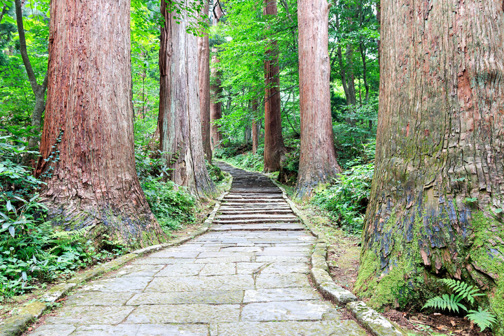 Mount Haguro trail