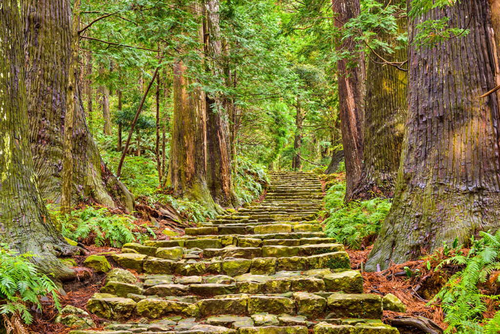 Daimon-zaka slope, Kumano Kodo